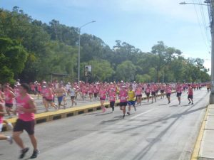 Miles se congregaron en San José para luchar contra el cáncer de mama
