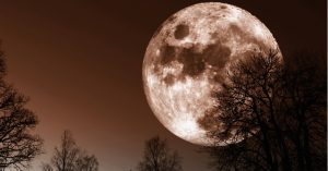 En noviembre podrás mirar la Luna de una forma que desde hace 68 años nadie ve