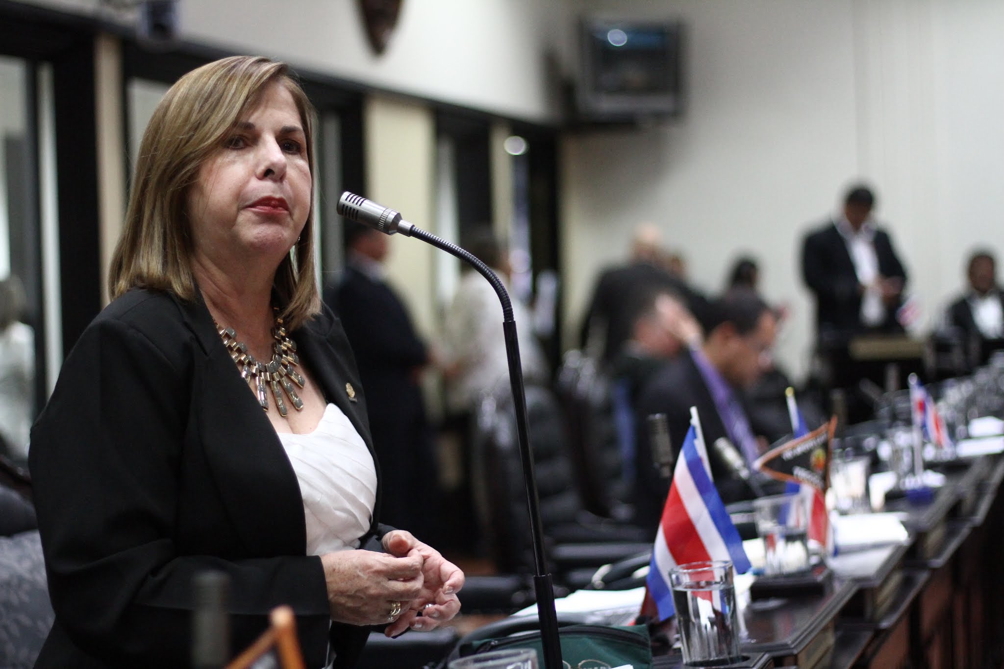 Diputada del PAC reprocha a Figueres uso de “palabrotas” en campaña publicitaria
