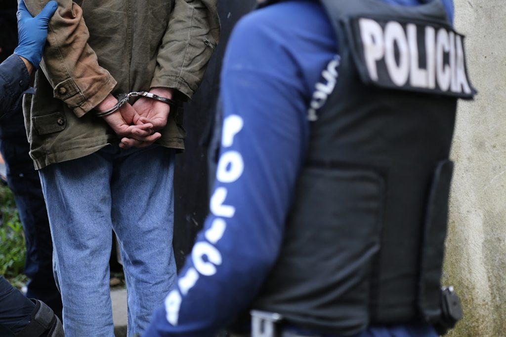 Fuerza Pública desarticuló 100 organizaciones ligadas al narcotráfico durante este año