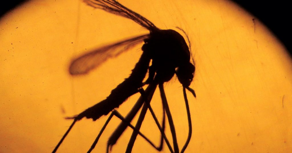 Costa Rica registra primer caso autóctono de microcefalia asociada al virus del zika