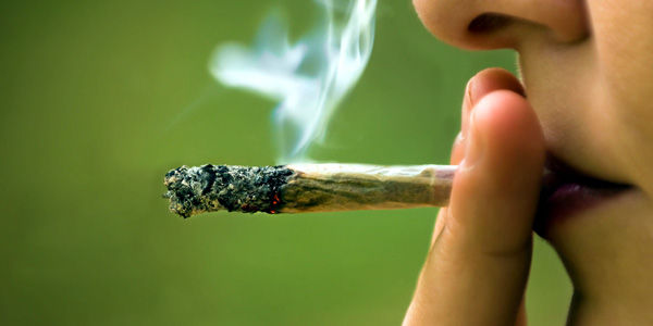 IAFA alerta desconocimiento de jóvenes sobre daños del consumo excesivo de marihuana