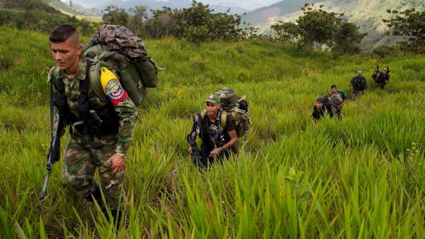 La DEA denunció que las FARC mantienen su influencia en zonas cocaleras de Colombia