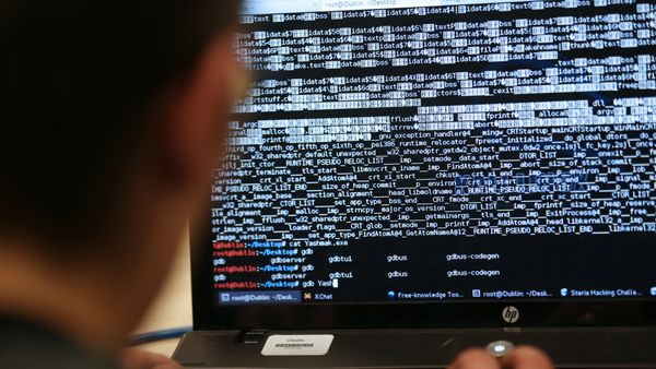 Hackers rusos intentaron ingresar en páginas web del gobierno holandés