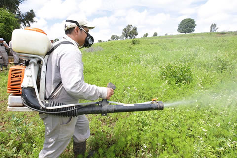 80 % de los plaguicidas que importa Costa Rica son altamente tóxicos