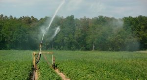 Sector agrícola califica de falso que se opongan a nueva Ley de Aguas