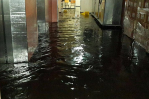 Inundación en HNN es un problema estructural del centro médico, asegura Municipalidad de San José