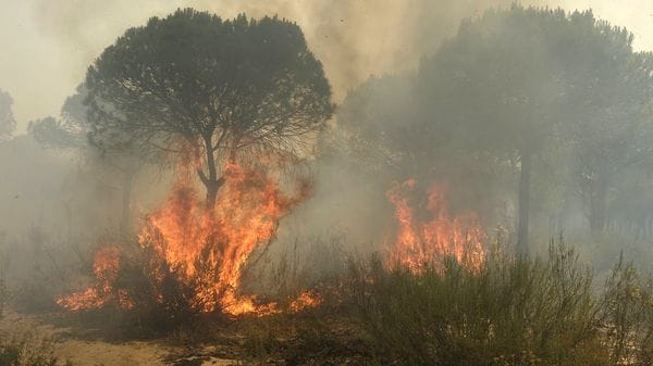 Un fuerte incendio provoca al menos 2.000 evacuados en un parque nacional al sur de España