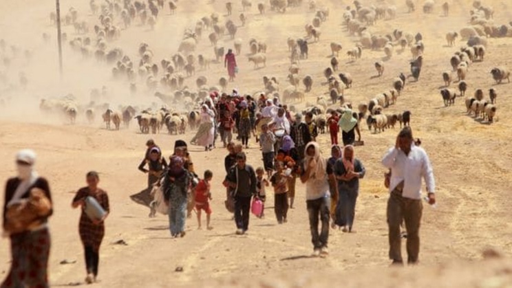 El número de desplazados en el mundo alcanzó la cifra récord de 65,6 millones