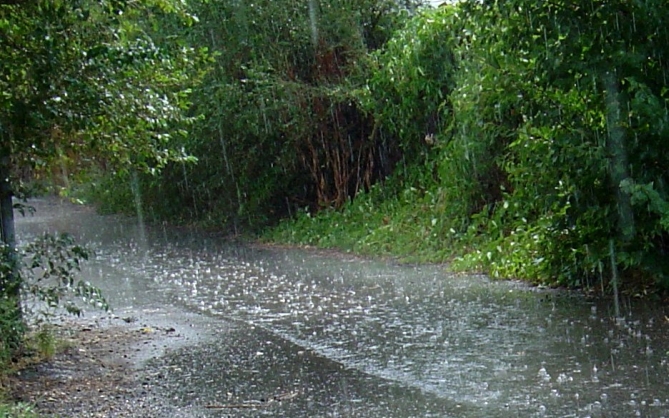 Lluvias predominarán en el Caribe y la Zona Norte durante esta semana