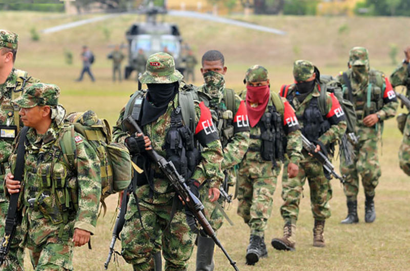 El grupo terrorista ELN, fue acusado de generar un brote de fiebre aftosa en Colombia
