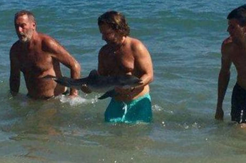 Selfies, sonrisas y maltrato: en lugar de rescatar a un delfín bebé en problemas, lo acosaron hasta matarlo