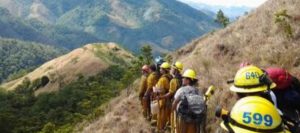 País registró histórico descenso de 220% en incendios forestales en última temporada