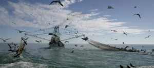 ONG’s planean manifestarse en el Congreso por plan sobre pesca de arrastre