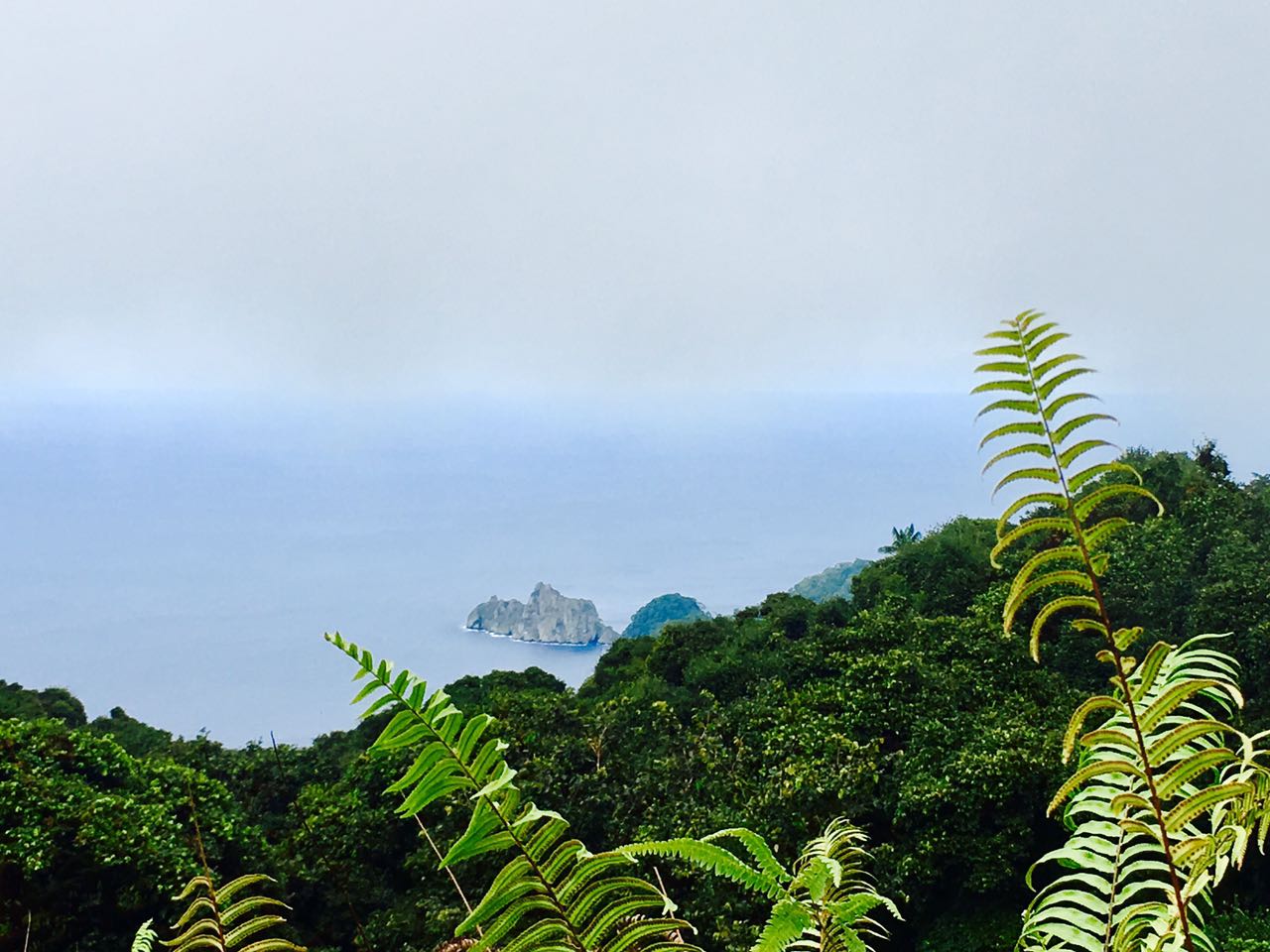 Isla del Coco con mayor acceso a Internet a partir de esta semana