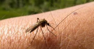 País emite alerta sanitaria por nueve casos de malaria