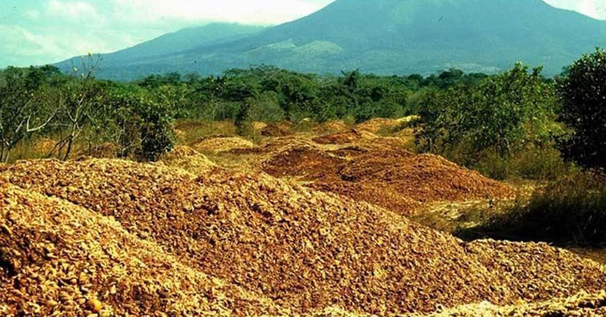 12.000 toneladas de cáscaras de naranja que cambiaron un paisaje en Costa Rica