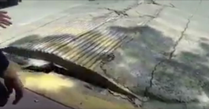 El pavimento «respiró» durante el devastador terremoto en México