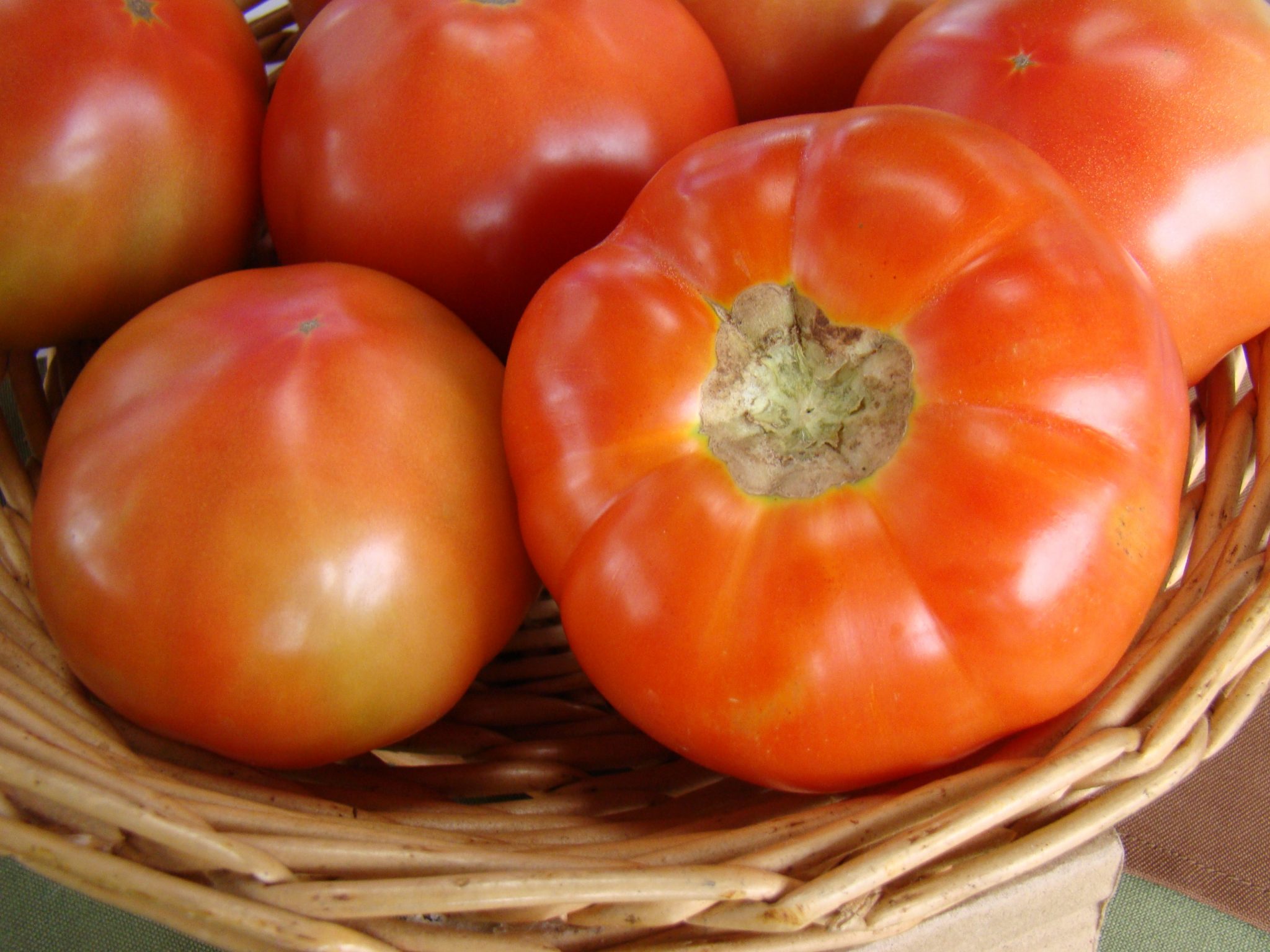 Precio del tomate incrementó 121% entre enero de 2023 e inicios de este año