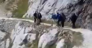 ¡Indignación! Turistas lanzaron a un jabalí por un acantilado