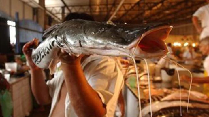 Brasil suspende exportación de pescado a Unión Europea por irregularidades sanitarias