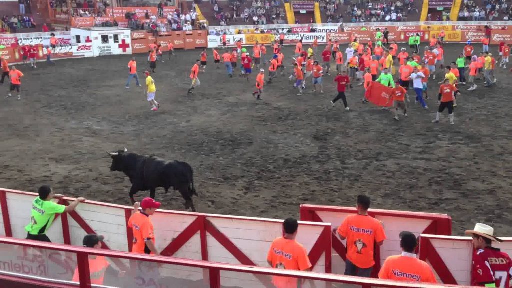 Ver los toros de Zapote le costará ¢20 mil en gradería general