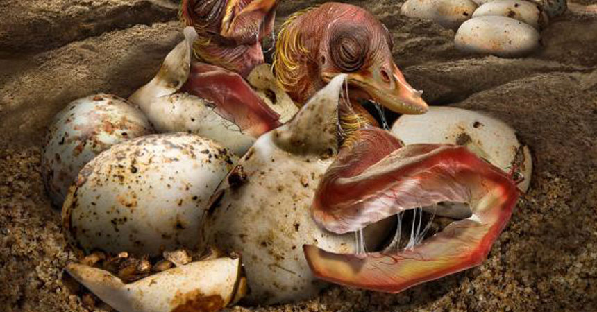 Encontraron 200 huevos de dinosaurio de hace 120 millones de años y estaban intactos