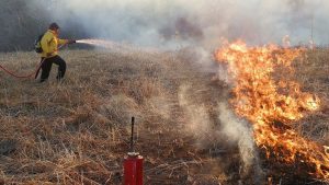 Tres incendios forestales marcan el inicio de fase crítica para los bosques