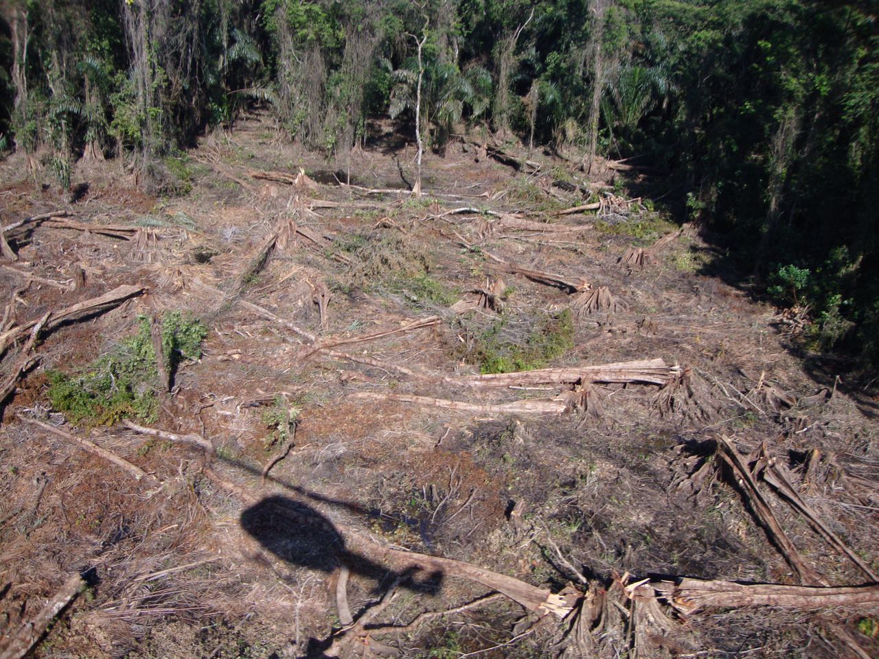 Nicaragua ya canceló a Costa Rica $378 000 por daño ambiental en isla Portillos