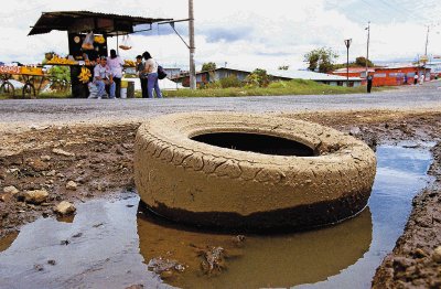 Salud urge a población reforzar eliminación de criaderos para frenar brotes con entrada de época lluviosa