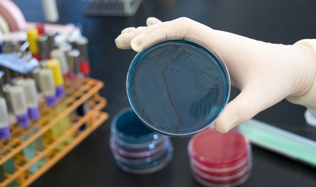 Sindicato alerta de proliferación de bacterias en hospitales tras retiro de desinfectante
