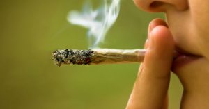 Estudio asegura que cannabis medicinal no sirve para curar enfermedades