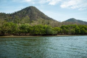 Bahía Santa Elena en Guanacaste será una nueva área marina protegida