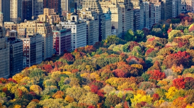 Nueva York prohibió los automóviles en Central Park
