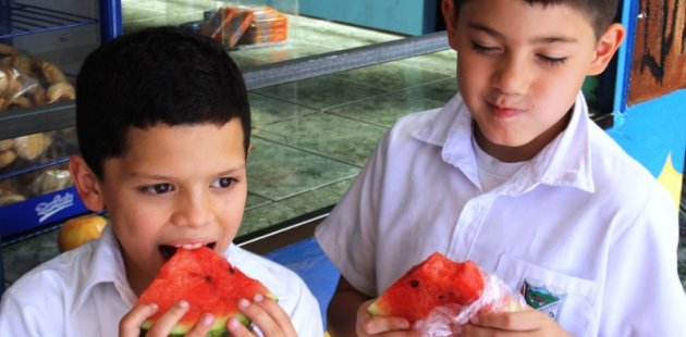 País carece de protocolo para tratar trastornos alimenticios en niños y adolescentes