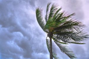 Dos o tres ciclones podrían afectar de manera indirecta al país en temporada de huracanes 2018