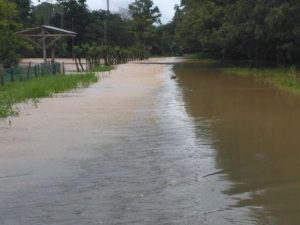 CNE entrega suministros a 49 mil personas afectadas por el paso de ondas tropicales