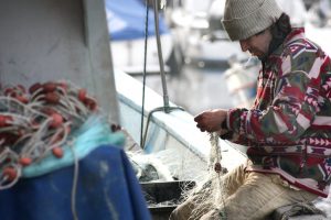 Costa Rica pierde hasta 50 millones de dólares en pesca ilegal de atún