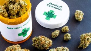 Ministerio de Salud inicia proceso para regulación de cannabis medicinal