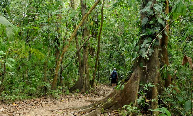 Minae y Seguridad Pública se unieron para la protección del Parque Nacional Corcovado