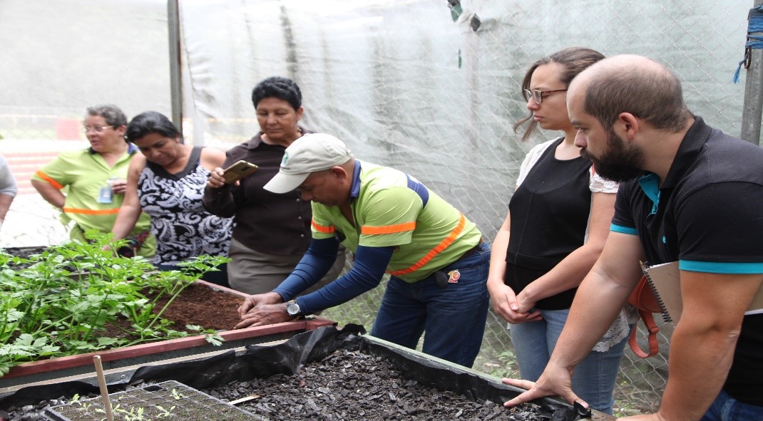 Municipalidad de San José imparte Cursos Ambientales gratis a cientos de personas