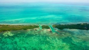 Polémica por venta de última isla virgen de la Riviera Maya