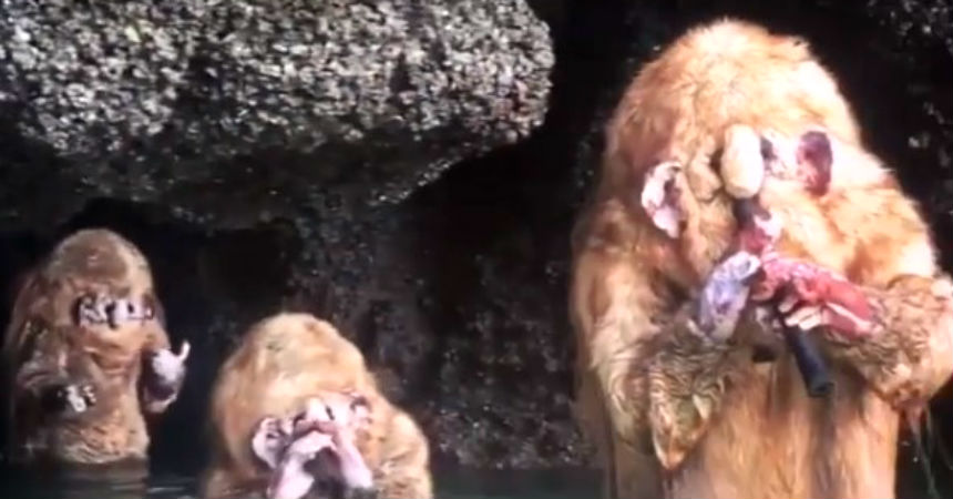 La verdad detrás de las extrañas criaturas que aparecieron en una cueva en Tailandia