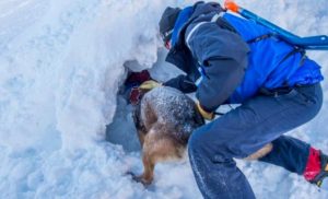 Rescatan a niño que quedó sepultado tras avalancha en los Alpes franceses