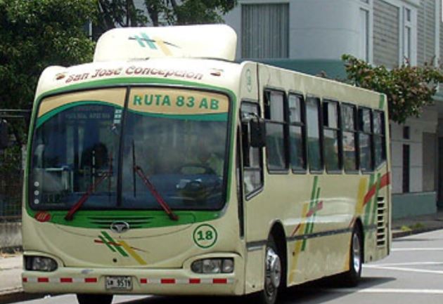 CTP denuncia penalmente a empresa autobusera por presentar supuesto documento falso