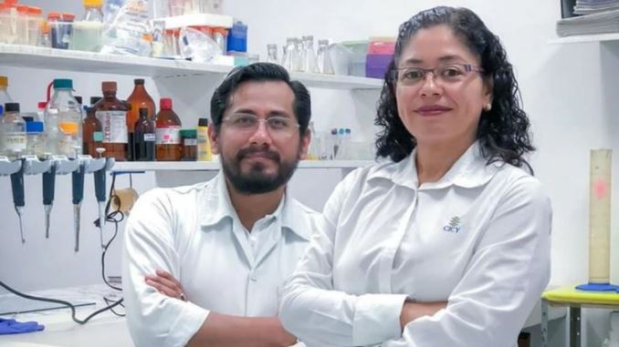 Investigadores mexicanos trabajan en la elaboración de un antibiótico a base de chile