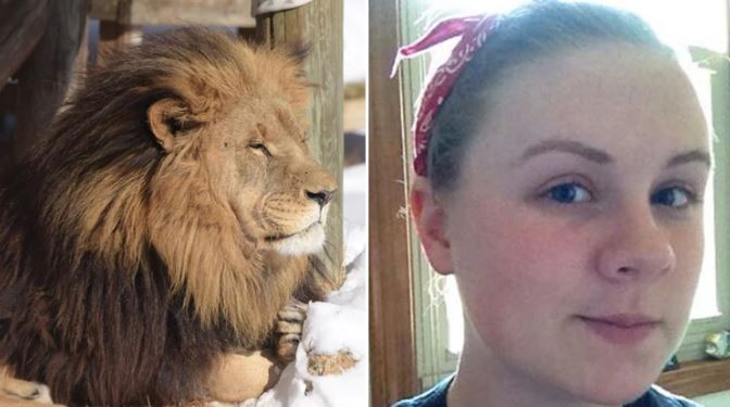 Un león mató a una pasante de 22 años de un zoológico en Estados Unidos