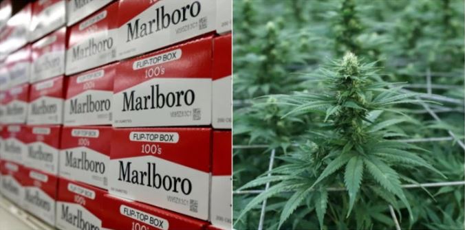 Los fabricantes de Marlboro dieron sus primeros pasos en el mercado de la marihuana