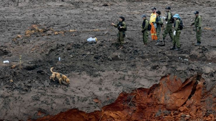 Aumentan a 99 los muertos y a 259 los desaparecidos por la tragedia minera en Brasil