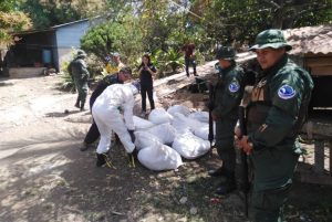 Policía decomisa 1900 kilos de cianuro para posible extracción de oro en Crucitas